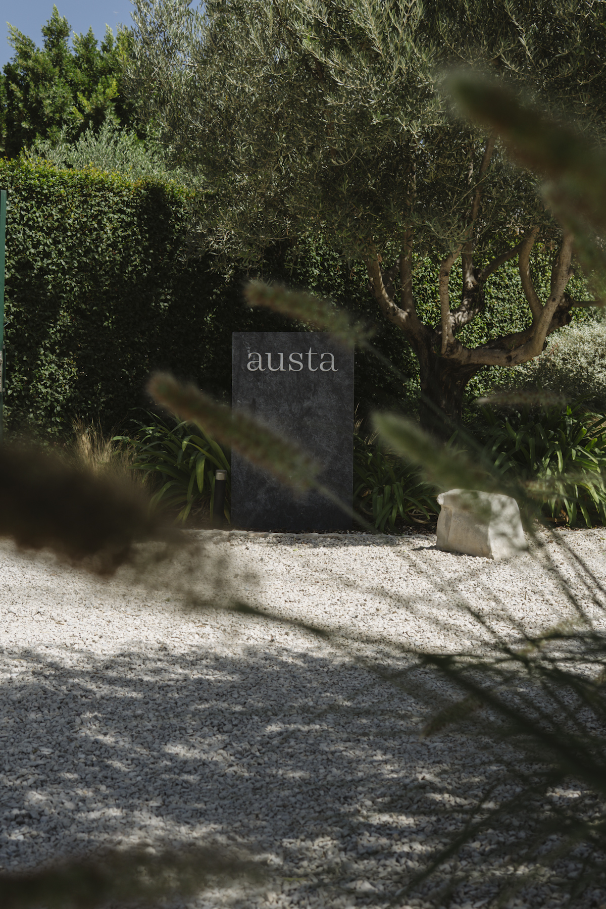 The austa name cut into a dark stone plinth in front of an olive tree